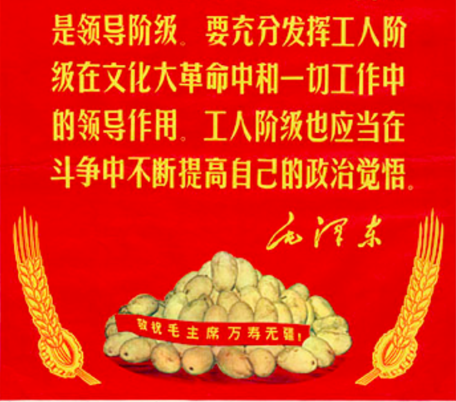 顆顆芒果恩情深，心心向著紅太陽：文革時期芒果崇拜的視覺語彙