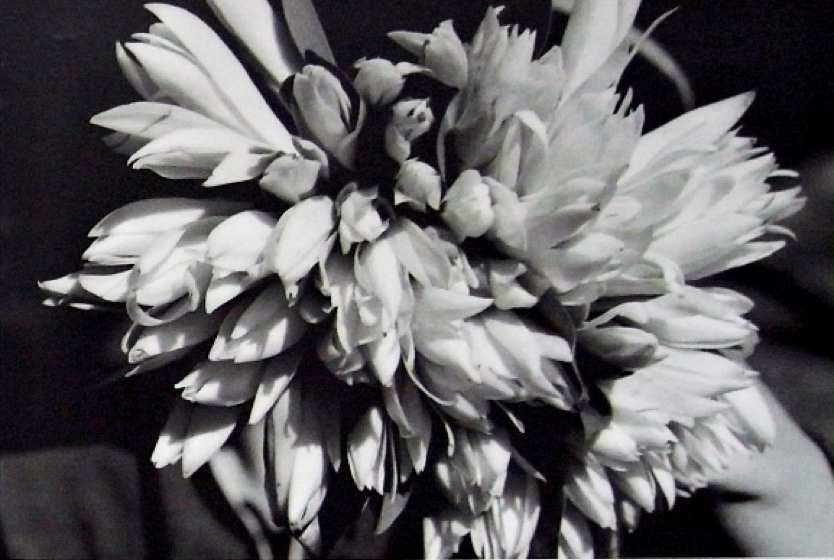 閱讀攝影書──沈昭良《玉蘭》