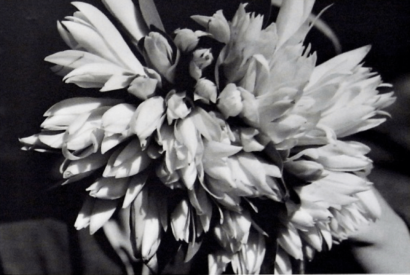 閱讀攝影書──沈昭良《玉蘭》