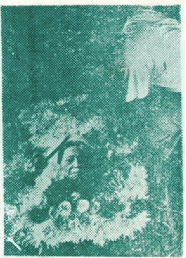 螢幕快照 2017-08-14 下午3.42.53