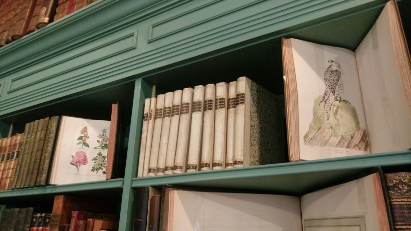 0109 Shapero_180116_0099.jpg