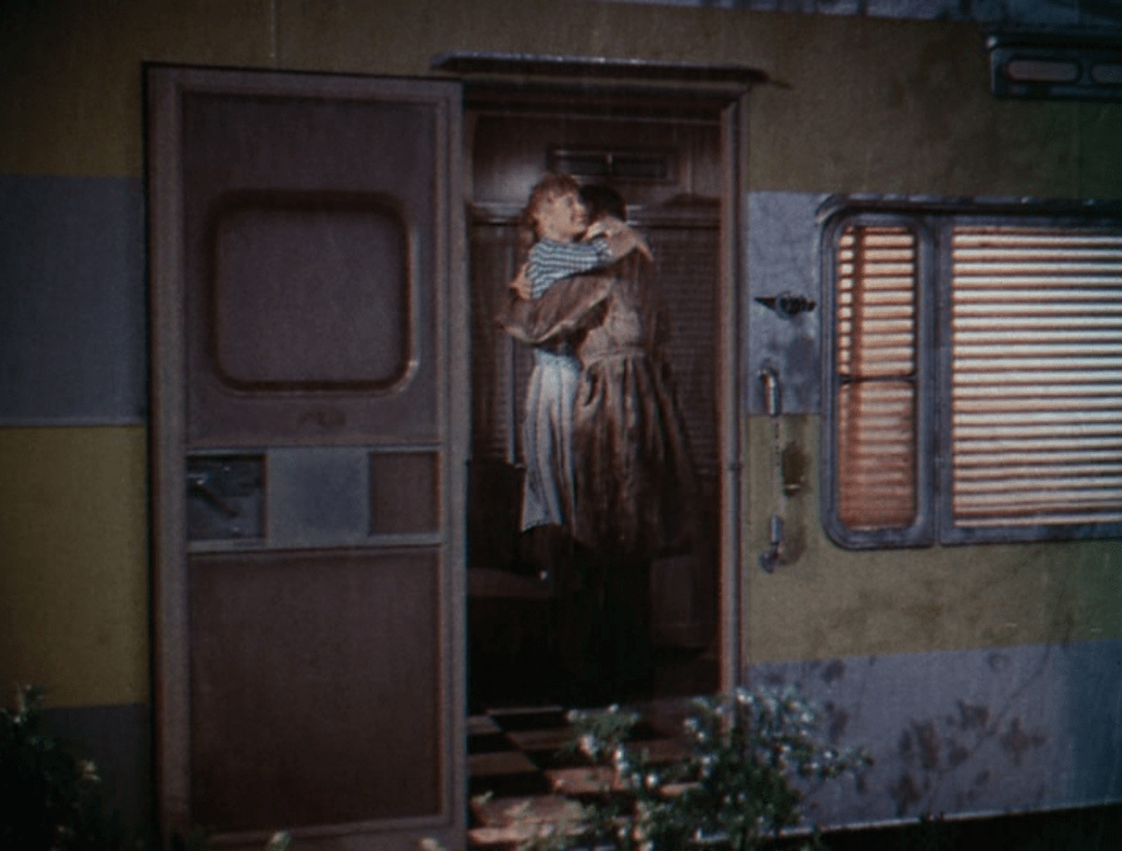 王涵智蜜月花車7