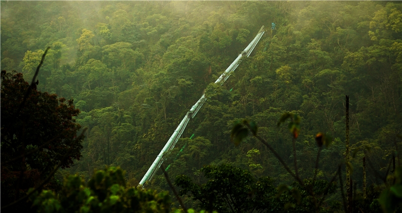 不只有自然的生態系統：評論2018台北雙年展