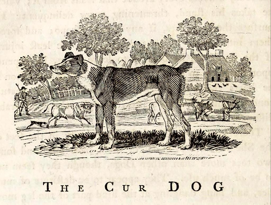 木雕大師畢維克的「萌寵」列傳（上）