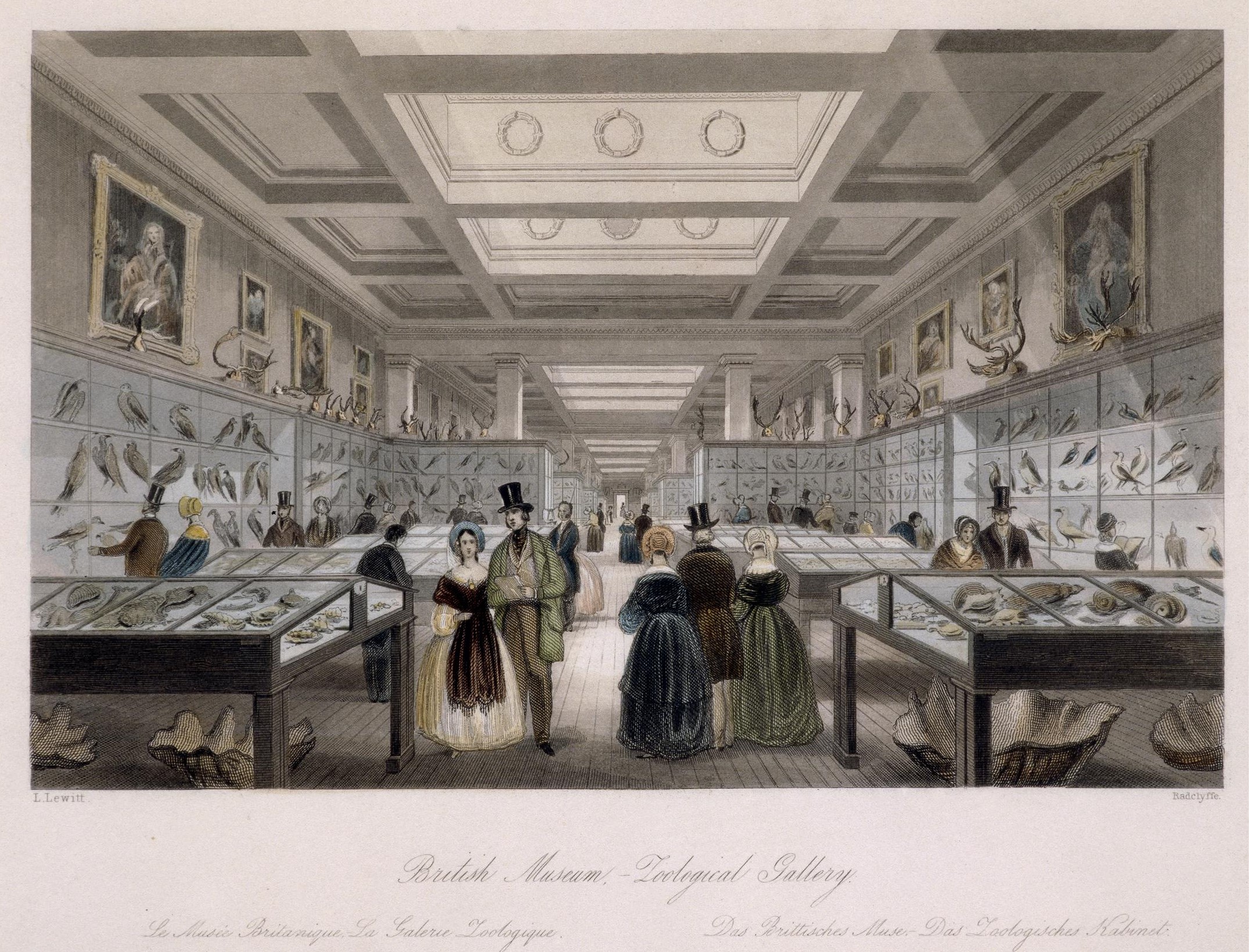 十九世紀大英博物館的自然史展示與進化論敘事