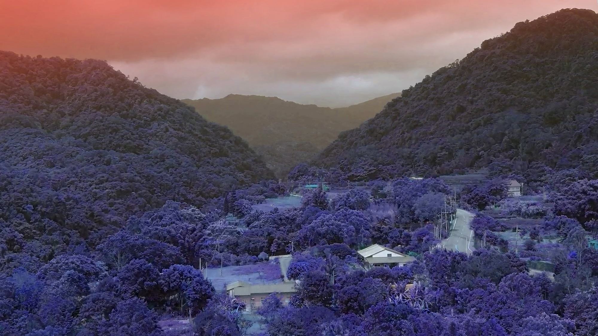 桃園的藝術可以是什麼模樣？探索桃園當代藝術的多重網絡