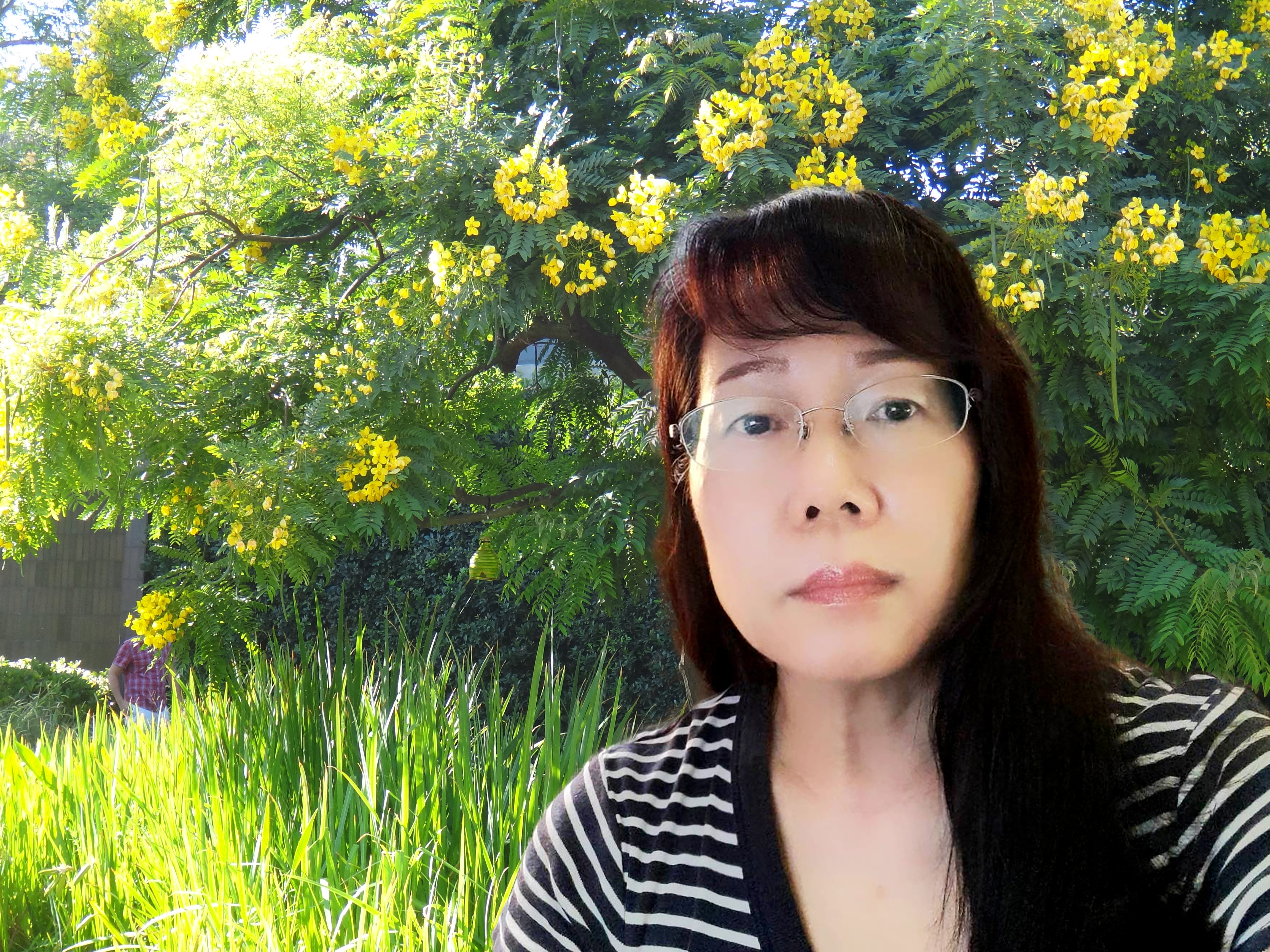 佇立於書籍與插圖交織的世界，在藝術之路探索前行：專訪撰稿人宋美瑩老師