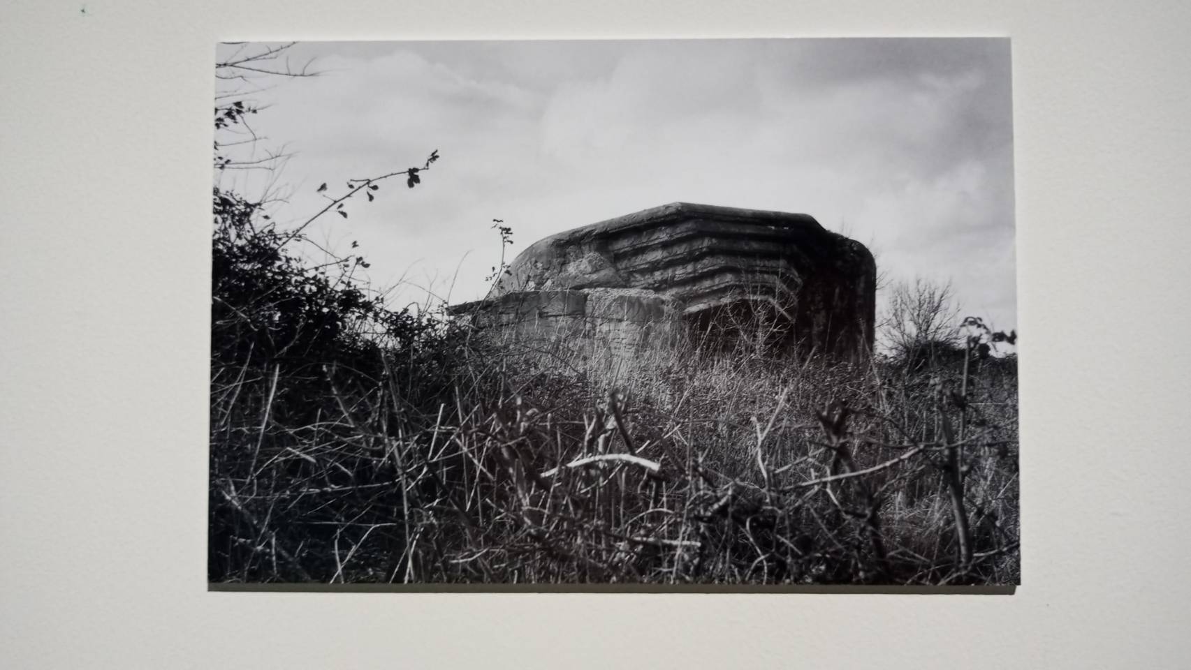 存在於碉堡神話中的政治語境