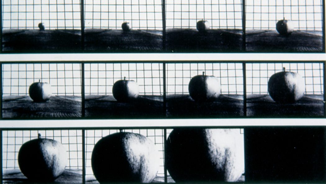 續談傳統攝影的互文性創作：以攝影作為模本——變形與模仿