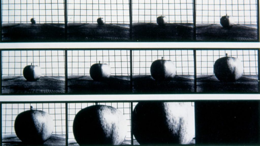 續談傳統攝影的互文性創作：以攝影作為模本——變形與模仿