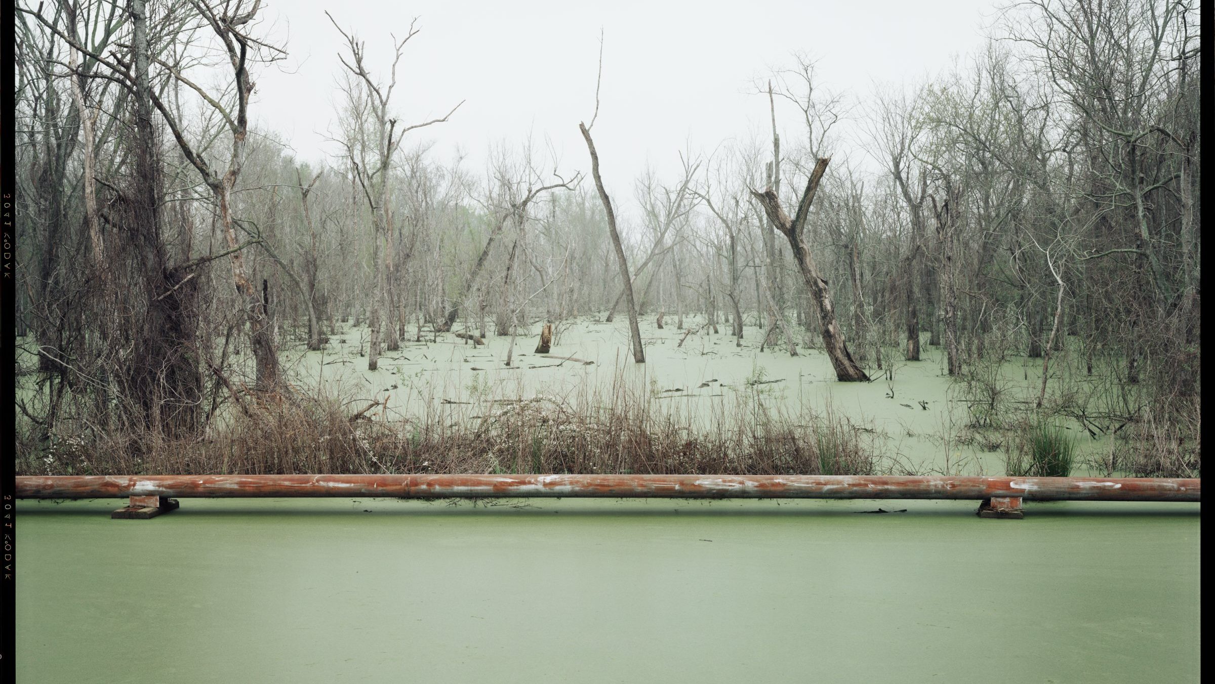 番薯看風景：談理查・密斯拉克《石化美國》與《邊界篇章》的人文與土地關懷