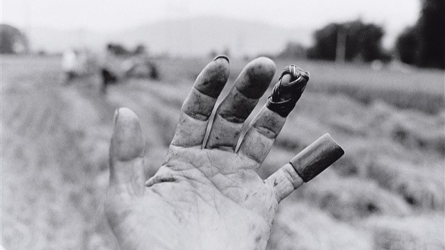 鏡頭下的社會與人群──淺談姚孟嘉70年代攝影作品